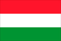 Компания в Венгрии